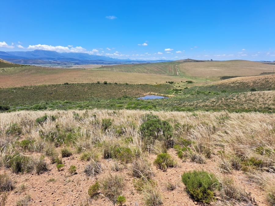 17 Bedroom Property for Sale in Riversdale Rural Western Cape